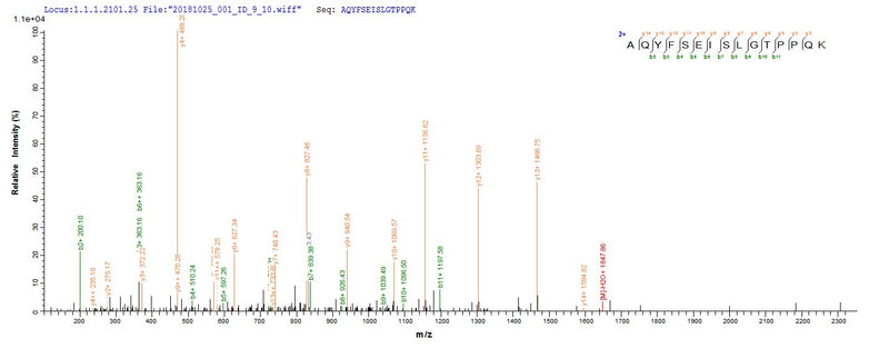Based on the SEQUEST from database of E.coli host and target protein, the LC-MS/MS Analysis result of this product could indicate that this peptide derived from E.coli-expressed Neosartorya fumigata (strain ATCC MYA-4609 / Af293 / CBS 101355 / FGSC A1100) (Aspergillus fumigatus) pep2.Recombinant Neosartorya Fumigata Vacuolar Protease A (PEP2) Protein (His)