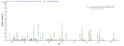 Based on the SEQUEST from database of E.coli host and target protein, the LC-MS/MS Analysis result of this product could indicate that this peptide derived from E.coli-expressed Azotobacter vinelandii algL.