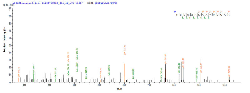 Based on the SEQUEST from database of E.coli host and target protein, the LC-MS/MS Analysis result of this product could indicate that this peptide derived from E.coli-expressed Azotobacter vinelandii algL.