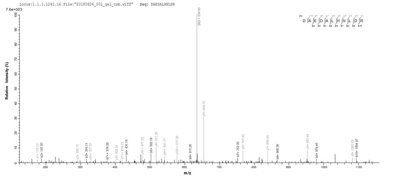 Based on the SEQUEST from database of E.coli host and target protein, the LC-MS/MS Analysis result of this product could indicate that this peptide derived from E.coli-expressed Homo sapiens (Human) SRSF10.Recombinant Human Serine/Arginine-Rich Splicing Factor 10 (SRSF10) Protein (His-SUMO)