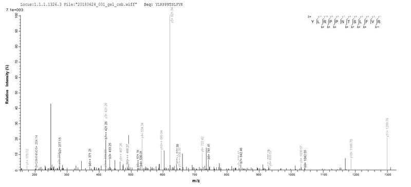 Based on the SEQUEST from database of E.coli host and target protein, the LC-MS/MS Analysis result of this product could indicate that this peptide derived from E.coli-expressed Homo sapiens (Human) SRSF10.Recombinant Human Serine/Arginine-Rich Splicing Factor 10 (SRSF10) Protein (His-SUMO)