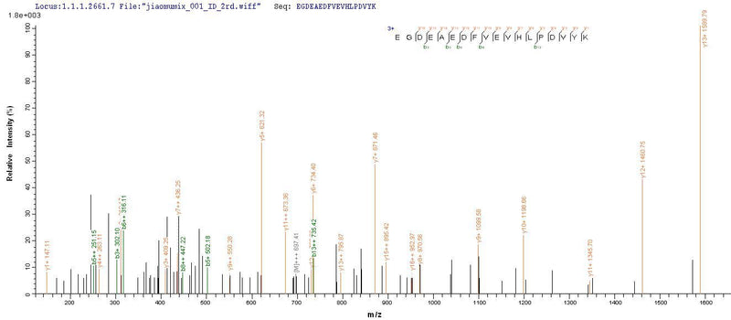 Based on the SEQUEST from database of E.coli host and target protein, the LC-MS/MS Analysis result of this product could indicate that this peptide derived from E.coli-expressed Rabies virus (strain CVS-11) (RABV) G.Recombinant Rabies Virus Glycoprotein (G) Protein (His-SUMO&Myc)