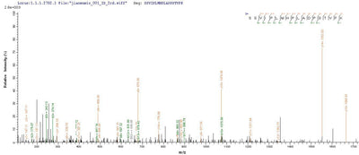 Based on the SEQUEST from database of E.coli host and target protein, the LC-MS/MS Analysis result of this product could indicate that this peptide derived from E.coli-expressed Rabies virus (strain CVS-11) (RABV) G.Recombinant Rabies Virus Glycoprotein (G) Protein (His-SUMO&Myc)