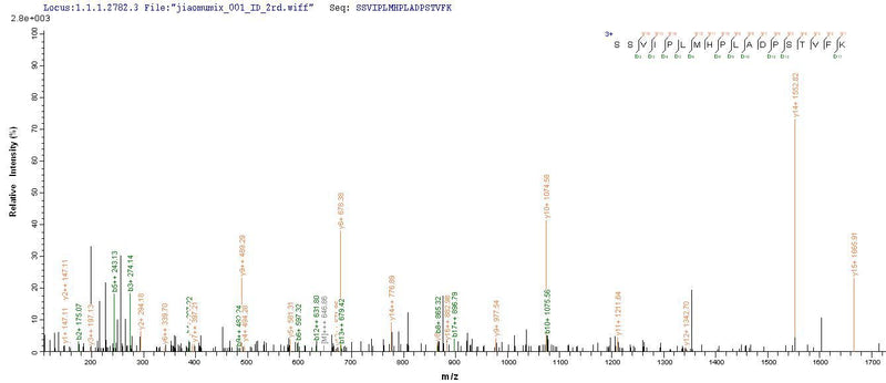 Based on the SEQUEST from database of E.coli host and target protein, the LC-MS/MS Analysis result of this product could indicate that this peptide derived from E.coli-expressed Rabies virus (strain CVS-11) (RABV) G.Recombinant Rabies Virus Glycoprotein (G) Protein (His-SUMO&Myc)