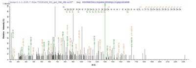Based on the SEQUEST from database of E.coli host and target protein, the LC-MS/MS Analysis result of this product could indicate that this peptide derived from E.coli-expressed Blomia tropicalis (Mite) BLOT5.