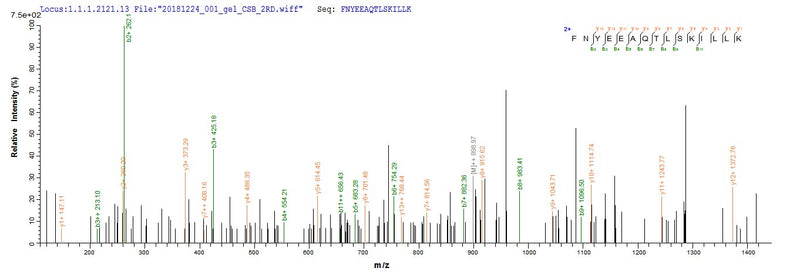 Based on the SEQUEST from database of E.coli host and target protein, the LC-MS/MS Analysis result of this product could indicate that this peptide derived from E.coli-expressed Blomia tropicalis (Mite) BLOT5.