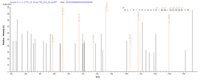 Based on the SEQUEST from database of E.coli host and target protein, the LC-MS/MS Analysis result of this product could indicate that this peptide derived from E.coli-expressed Pyrococcus horikoshii (strain ATCC 700860 / DSM 12428 / JCM 9974 / NBRC 100139) nadB.Recombinant Pyrococcus Horikoshii L-Aspartate Oxidase (NADB) Protein (His-SUMO&Myc)