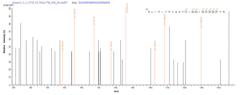 Based on the SEQUEST from database of E.coli host and target protein, the LC-MS/MS Analysis result of this product could indicate that this peptide derived from E.coli-expressed Pyrococcus horikoshii (strain ATCC 700860 / DSM 12428 / JCM 9974 / NBRC 100139) nadB.Recombinant Pyrococcus Horikoshii L-Aspartate Oxidase (NADB) Protein (His-SUMO&Myc)