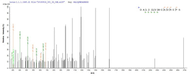 Based on the SEQUEST from database of E.coli host and target protein, the LC-MS/MS Analysis result of this product could indicate that this peptide derived from E.coli-expressed Treponema pallidum (strain Nichols) TP_0608.Recombinant Treponema Pallidum Uncharacterized Protein Tp_0608 (TP_0608) Protein (His&Myc)