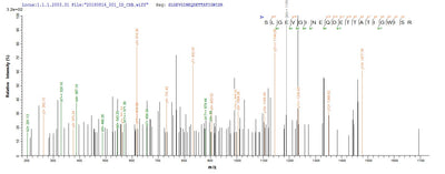 Based on the SEQUEST from database of E.coli host and target protein, the LC-MS/MS Analysis result of this product could indicate that this peptide derived from E.coli-expressed Treponema pallidum (strain Nichols) TP_0608.Recombinant Treponema Pallidum Uncharacterized Protein Tp_0608 (TP_0608) Protein (His&Myc)