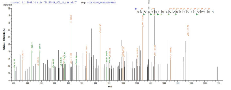 Based on the SEQUEST from database of E.coli host and target protein, the LC-MS/MS Analysis result of this product could indicate that this peptide derived from E.coli-expressed Treponema pallidum (strain Nichols) TP_0608.Recombinant Treponema Pallidum Uncharacterized Protein Tp_0608 (TP_0608) Protein (His&Myc)