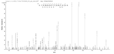 Based on the SEQUEST from database of E.coli host and target protein, the LC-MS/MS Analysis result of this product could indicate that this peptide derived from E.coli-expressed Influenza A virus (strain A/Kitakyushu/159/1993 H3N2) NP.Recombinant Influenza A Virus Nucleoprotein (NP) Protein (His)