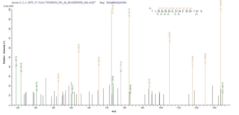 Based on the SEQUEST from database of E.coli host and target protein, the LC-MS/MS Analysis result of this product could indicate that this peptide derived from E.coli-expressed Chlamydia trachomatis (strain D/UW-3/Cx) pmpD.Recombinant Chlamydia Trachomatis Probable Outer Membrane Protein Pmpd (PMPD) Protein (His-SUMO)