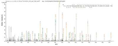 Based on the SEQUEST from database of E.coli host and target protein, the LC-MS/MS Analysis result of this product could indicate that this peptide derived from E.coli-expressed Clostridium botulinum (strain Okra / Type B1) botB.Recombinant Clostridium Botulinum Botulinum Neurotoxin Type B (BOTB) Protein (His&Myc)