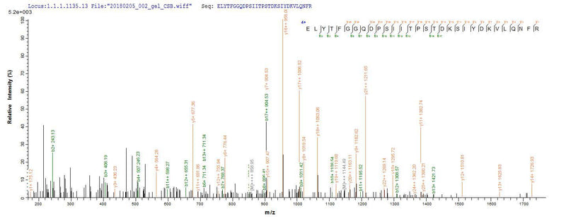 Based on the SEQUEST from database of E.coli host and target protein, the LC-MS/MS Analysis result of this product could indicate that this peptide derived from E.coli-expressed Clostridium botulinum (strain Okra / Type B1) botB.Recombinant Clostridium Botulinum Botulinum Neurotoxin Type B (BOTB) Protein (His&Myc)