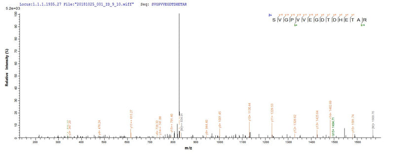 Based on the SEQUEST from database of E.coli host and target protein, the LC-MS/MS Analysis result of this product could indicate that this peptide derived from E.coli-expressed Halobacterium salinarum (strain ATCC 29341 / DSM 671 / R1) btuD.