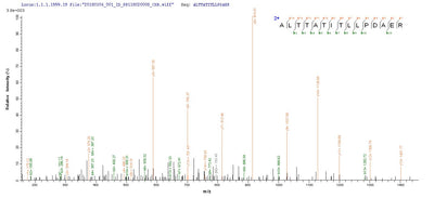 Based on the SEQUEST from database of E.coli host and target protein, the LC-MS/MS Analysis result of this product could indicate that this peptide derived from E.coli-expressed Rotavirus A (strain RVA/Human/United Kingdom/ST3/1975/G4P2A[6]) (RV-A) (Rotavirus A (strain St. Thomas 3)) N/A.Recombinant Rotavirus A Intermediate Capsid Protein Vp6 Protein (His-SUMO)