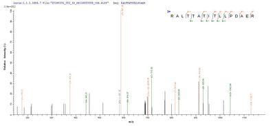 Based on the SEQUEST from database of E.coli host and target protein, the LC-MS/MS Analysis result of this product could indicate that this peptide derived from E.coli-expressed Rotavirus A (strain RVA/Human/United Kingdom/ST3/1975/G4P2A[6]) (RV-A) (Rotavirus A (strain St. Thomas 3)) N/A.Recombinant Rotavirus A Intermediate Capsid Protein Vp6 Protein (His-SUMO)