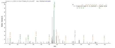 Based on the SEQUEST from database of E.coli host and target protein, the LC-MS/MS Analysis result of this product could indicate that this peptide derived from E.coli-expressed Homo sapiens (Human) DHX9.Recombinant Human Atp-Dependent Rna Helicase A (DHX9) Protein (His-SUMO)