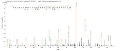 Based on the SEQUEST from database of E.coli host and target protein, the LC-MS/MS Analysis result of this product could indicate that this peptide derived from E.coli-expressed Homo sapiens (Human) DHX9.Recombinant Human Atp-Dependent Rna Helicase A (DHX9) Protein (His-SUMO)