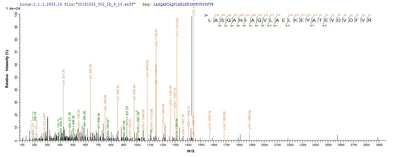 Based on the SEQUEST from database of E.coli host and target protein, the LC-MS/MS Analysis result of this product could indicate that this peptide derived from E.coli-expressed Homo sapiens (Human) AP1B1.Recombinant Human Ap-1 Complex Subunit Beta-1 (AP1B1) Protein (His&Myc)