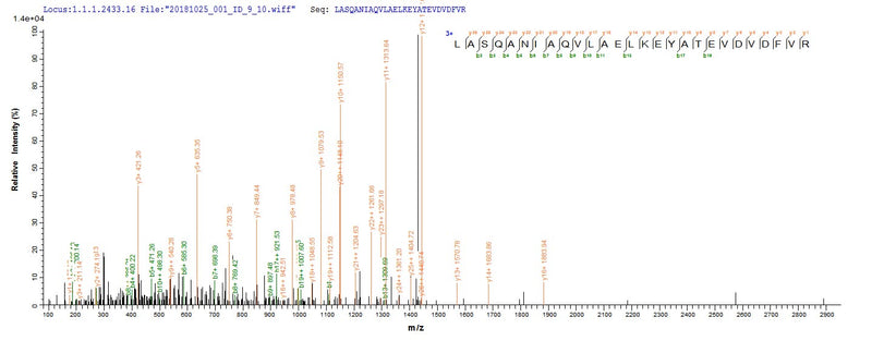 Based on the SEQUEST from database of E.coli host and target protein, the LC-MS/MS Analysis result of this product could indicate that this peptide derived from E.coli-expressed Homo sapiens (Human) AP1B1.Recombinant Human Ap-1 Complex Subunit Beta-1 (AP1B1) Protein (His&Myc)