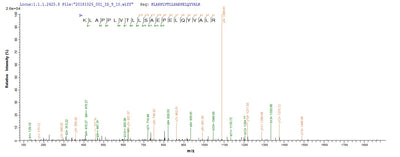 Based on the SEQUEST from database of E.coli host and target protein, the LC-MS/MS Analysis result of this product could indicate that this peptide derived from E.coli-expressed Homo sapiens (Human) AP1B1.Recombinant Human Ap-1 Complex Subunit Beta-1 (AP1B1) Protein (His&Myc)