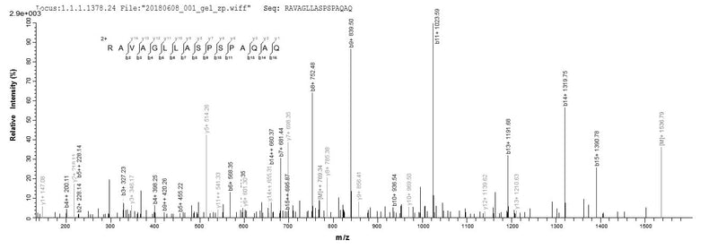 Based on the SEQUEST from database of E.coli host and target protein, the LC-MS/MS Analysis result of this product could indicate that this peptide derived from E.coli-expressed Homo sapiens (Human) FXN.Recombinant Human Frataxin, Mitochondrial (FXN) Protein (His-SUMO&Myc)
