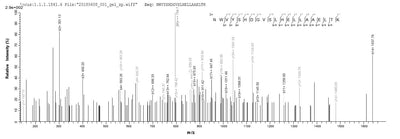 Based on the SEQUEST from database of E.coli host and target protein, the LC-MS/MS Analysis result of this product could indicate that this peptide derived from E.coli-expressed Homo sapiens (Human) FXN.Recombinant Human Frataxin, Mitochondrial (FXN) Protein (His-SUMO&Myc)
