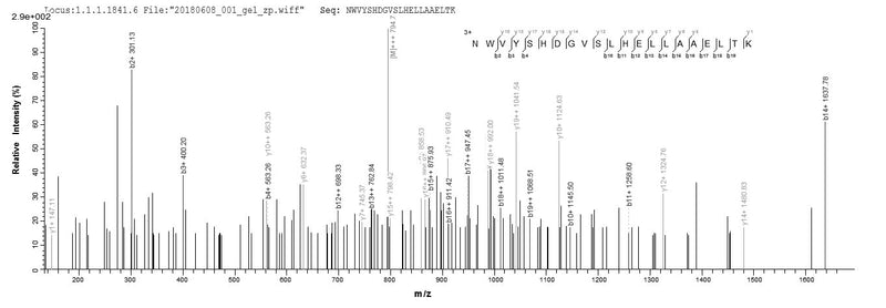 Based on the SEQUEST from database of E.coli host and target protein, the LC-MS/MS Analysis result of this product could indicate that this peptide derived from E.coli-expressed Homo sapiens (Human) FXN.Recombinant Human Frataxin, Mitochondrial (FXN) Protein (His-SUMO&Myc)