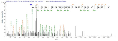 Based on the SEQUEST from database of E.coli host and target protein, the LC-MS/MS Analysis result of this product could indicate that this peptide derived from E.coli-expressed Homo sapiens (Human) KCNMA1.Recombinant Human Calcium-Activated Potassium Channel Subunit Alpha-1 (KCNMA1) Protein (His-HPC4)