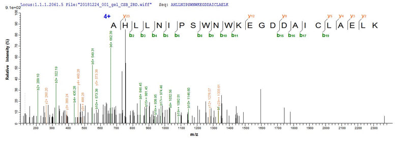 Based on the SEQUEST from database of E.coli host and target protein, the LC-MS/MS Analysis result of this product could indicate that this peptide derived from E.coli-expressed Homo sapiens (Human) KCNMA1.Recombinant Human Calcium-Activated Potassium Channel Subunit Alpha-1 (KCNMA1) Protein (His-HPC4)