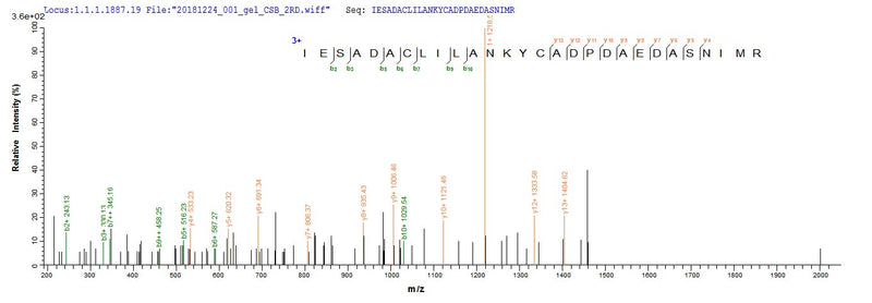 Based on the SEQUEST from database of E.coli host and target protein, the LC-MS/MS Analysis result of this product could indicate that this peptide derived from E.coli-expressed Homo sapiens (Human) KCNMA1.Recombinant Human Calcium-Activated Potassium Channel Subunit Alpha-1 (KCNMA1) Protein (His-HPC4)