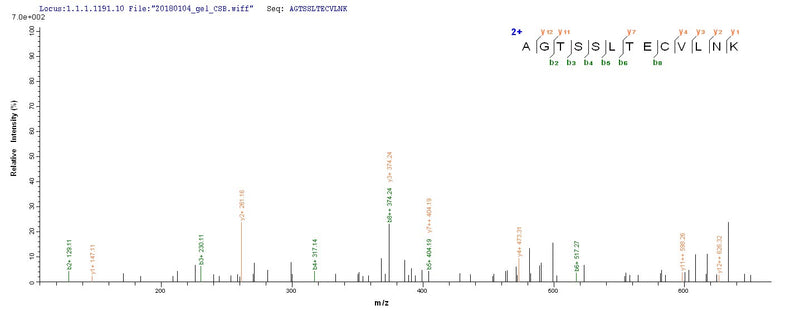 Based on the SEQUEST from database of E.coli host and target protein, the LC-MS/MS Analysis result of this product could indicate that this peptide derived from E.coli-expressed Homo sapiens (Human) IL15RA.Recombinant Human Interleukin-15 Receptor Subunit Alpha (IL15RA) Protein (His&Myc)