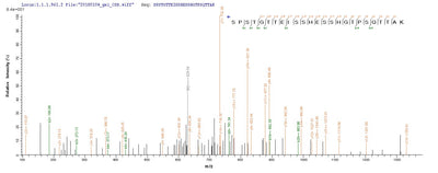 Based on the SEQUEST from database of E.coli host and target protein, the LC-MS/MS Analysis result of this product could indicate that this peptide derived from E.coli-expressed Homo sapiens (Human) IL15RA.Recombinant Human Interleukin-15 Receptor Subunit Alpha (IL15RA) Protein (His&Myc)