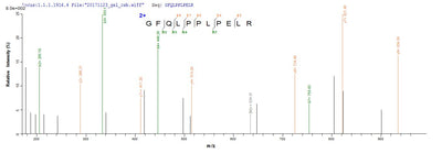 Based on the SEQUEST from database of E.coli host and target protein, the LC-MS/MS Analysis result of this product could indicate that this peptide derived from E.coli-expressed Homo sapiens (Human) CA9.