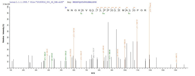 Based on the SEQUEST from database of E.coli host and target protein, the LC-MS/MS Analysis result of this product could indicate that this peptide derived from E.coli-expressed Homo sapiens (Human) CA9.Recombinant Human Carbonic Anhydrase 9 (CA9) Protein (His-GST)