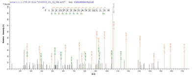 Based on the SEQUEST from database of E.coli host and target protein, the LC-MS/MS Analysis result of this product could indicate that this peptide derived from E.coli-expressed Homo sapiens (Human) CA9.