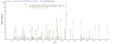 Based on the SEQUEST from database of E.coli host and target protein, the LC-MS/MS Analysis result of this product could indicate that this peptide derived from E.coli-expressed Homo sapiens (Human) CA9.Recombinant Human Carbonic Anhydrase 9 (CA9) Protein (His-GST)