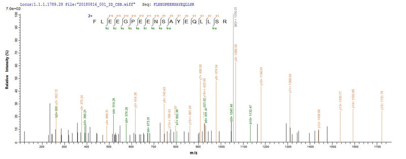 Based on the SEQUEST from database of E.coli host and target protein, the LC-MS/MS Analysis result of this product could indicate that this peptide derived from E.coli-expressed Homo sapiens (Human) CA9.