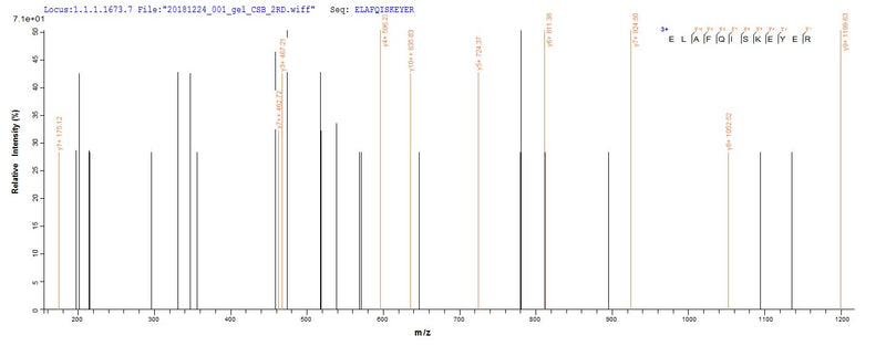 Based on the SEQUEST from database of E.coli host and target protein, the LC-MS/MS Analysis result of this product could indicate that this peptide derived from E.coli-expressed Homo sapiens (Human) DDX39B.Recombinant Human Spliceosome Rna Helicase Ddx39B (DDX39B) Protein (GST)