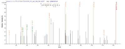 Based on the SEQUEST from database of E.coli host and target protein, the LC-MS/MS Analysis result of this product could indicate that this peptide derived from E.coli-expressed Homo sapiens (Human) DDX39B.Recombinant Human Spliceosome Rna Helicase Ddx39B (DDX39B) Protein (GST)