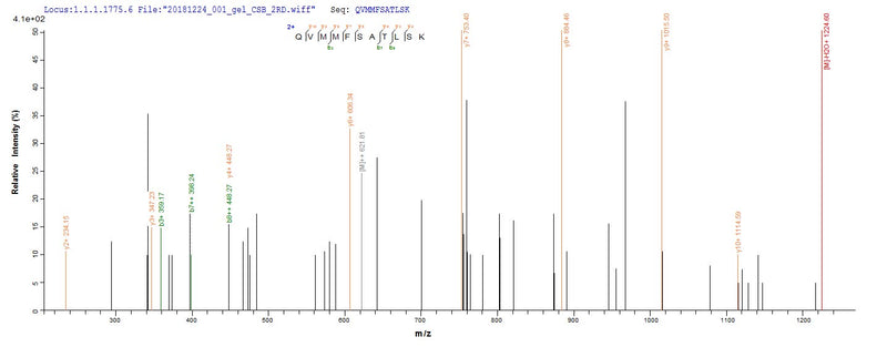 Based on the SEQUEST from database of E.coli host and target protein, the LC-MS/MS Analysis result of this product could indicate that this peptide derived from E.coli-expressed Homo sapiens (Human) DDX39B.Recombinant Human Spliceosome Rna Helicase Ddx39B (DDX39B) Protein (GST)