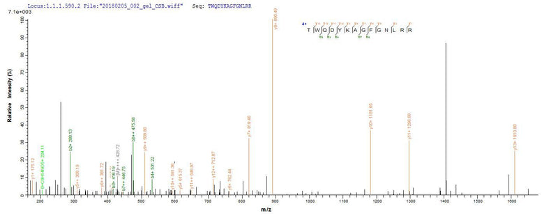 Based on the SEQUEST from database of E.coli host and target protein, the LC-MS/MS Analysis result of this product could indicate that this peptide derived from E.coli-expressed Homo sapiens (Human) FGL2.