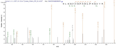 Based on the SEQUEST from database of E.coli host and target protein, the LC-MS/MS Analysis result of this product could indicate that this peptide derived from E.coli-expressed Homo sapiens (Human) SEPT7.Recombinant Human Septin-7 (SEPT7) Protein (His-SUMO)
