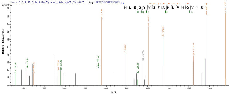 Based on the SEQUEST from database of E.coli host and target protein, the LC-MS/MS Analysis result of this product could indicate that this peptide derived from E.coli-expressed Homo sapiens (Human) SEPT7.Recombinant Human Septin-7 (SEPT7) Protein (His-SUMO)