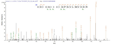 Based on the SEQUEST from database of E.coli host and target protein, the LC-MS/MS Analysis result of this product could indicate that this peptide derived from E.coli-expressed Homo sapiens (Human) IKZF1.Recombinant Human Dna-Binding Protein Ikaros (IKZF1) Protein (His-Avi)