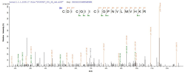 Based on the SEQUEST from database of E.coli host and target protein, the LC-MS/MS Analysis result of this product could indicate that this peptide derived from E.coli-expressed Homo sapiens (Human) IKZF1.Recombinant Human Dna-Binding Protein Ikaros (IKZF1) Protein (His-Avi)