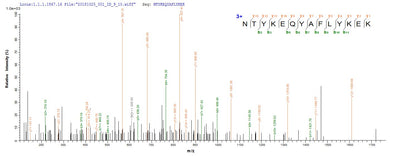 Based on the SEQUEST from database of E.coli host and target protein, the LC-MS/MS Analysis result of this product could indicate that this peptide derived from E.coli-expressed Homo sapiens (Human) DNASE1L3.Recombinant Human Deoxyribonuclease Gamma (DNASE1L3) Protein (GST)