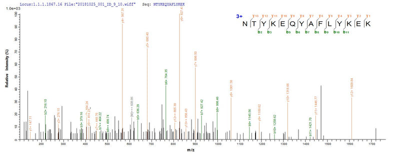 Based on the SEQUEST from database of E.coli host and target protein, the LC-MS/MS Analysis result of this product could indicate that this peptide derived from E.coli-expressed Homo sapiens (Human) DNASE1L3.Recombinant Human Deoxyribonuclease Gamma (DNASE1L3) Protein (GST)